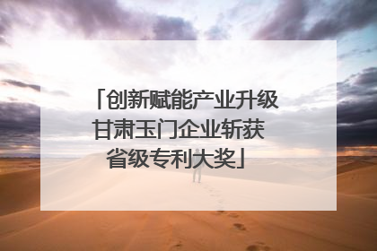 创新赋能产业升级 甘肃玉门企业斩获省级专利大奖