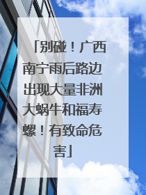 别碰！广西南宁雨后路边出现大量非洲大蜗牛和福寿螺！有致命危害