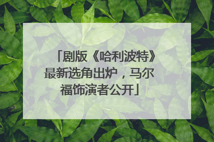 剧版《哈利波特》最新选角出炉，马尔福饰演者公开