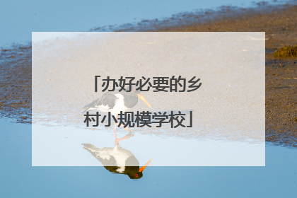办好必要的乡村小规模学校
