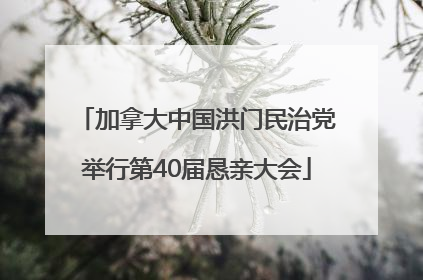 加拿大中国洪门民治党举行第40届恳亲大会