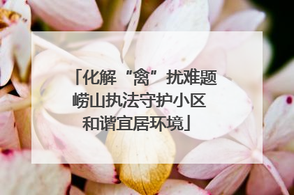 化解“禽”扰难题 崂山执法守护小区和谐宜居环境