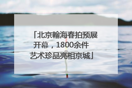 北京翰海春拍预展开幕，1800余件艺术珍品亮相京城