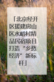 北京经开区援建房山区水峪村精品民宿项目打造“乡愁经济”新标杆