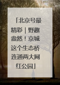 北京号最精彩｜野趣盎然！京城这个生态桥连通两大网红公园