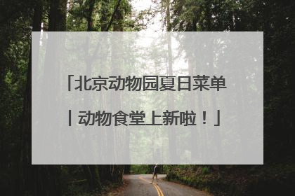 北京动物园夏日菜单丨动物食堂上新啦！