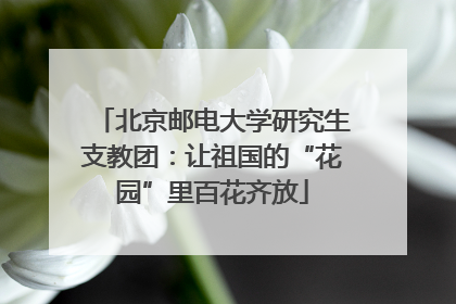 北京邮电大学研究生支教团：让祖国的“花园”里百花齐放