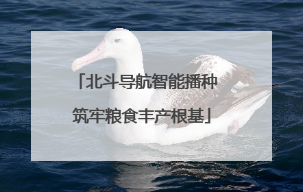 北斗导航智能播种 筑牢粮食丰产根基