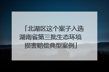 北湖区这个案子入选湖南省第三批生态环境损害赔偿典型案例
