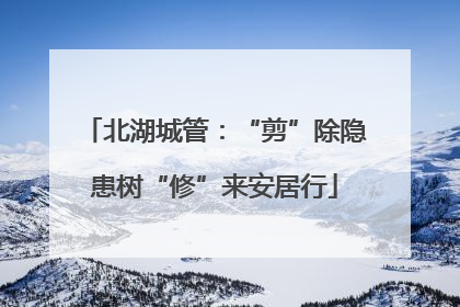 北湖城管：“剪”除隐患树“修”来安居行
