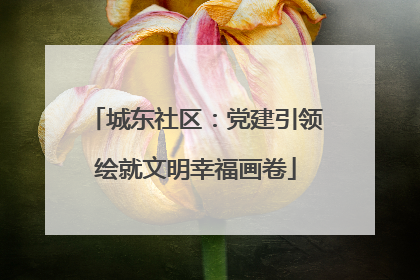 城东社区：党建引领绘就文明幸福画卷