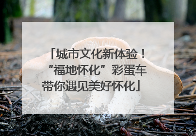 城市文化新体验！“福地怀化”彩蛋车带你遇见美好怀化