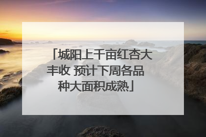 城阳上千亩红杏大丰收 预计下周各品种大面积成熟