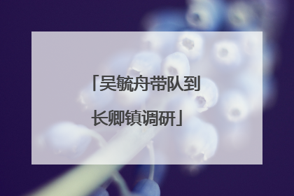 吴毓舟带队到长卿镇调研
