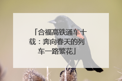 合福高铁通车十载：奔向春天的列车一路繁花