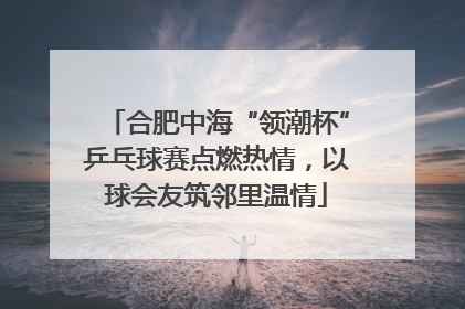 合肥中海“领潮杯”乒乓球赛点燃热情，以球会友筑邻里温情