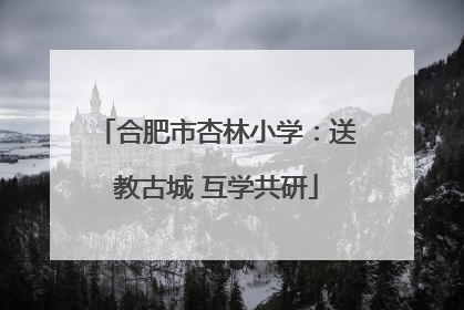 合肥市杏林小学：送教古城 互学共研