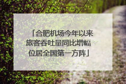 合肥机场今年以来旅客吞吐量同比增幅位居全国第一方阵