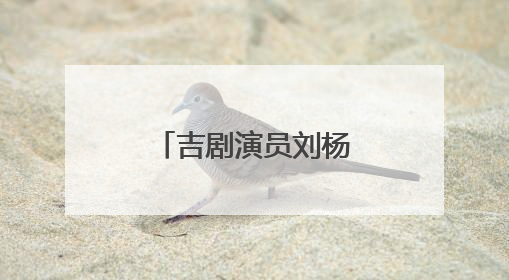 吉剧演员刘杨：传承非遗 唱响吉风吉韵