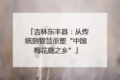 吉林东丰县：从传统到智慧重塑“中国梅花鹿之乡”