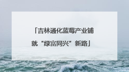 吉林通化蓝莓产业铺就“绿富同兴”新路