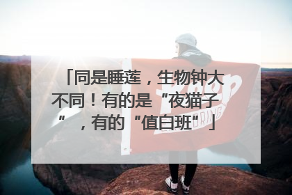 同是睡莲，生物钟大不同！有的是“夜猫子”，有的“值白班”