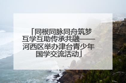 同根同脉同舟筑梦 互学互助传承共融——河西区举办津台青少年国学交流活动