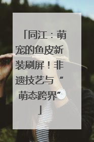 同江：萌宠的鱼皮新装刷屏！非遗技艺与“萌态跨界”
