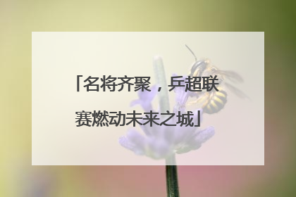 名将齐聚，乒超联赛燃动未来之城