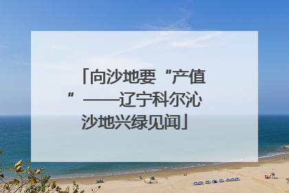 向沙地要“产值”——辽宁科尔沁沙地兴绿见闻