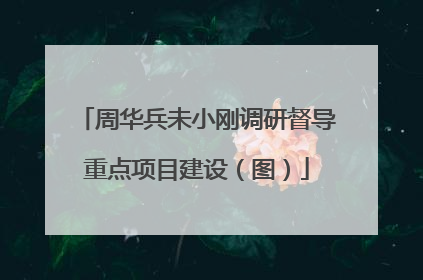 周华兵未小刚调研督导重点项目建设（图）