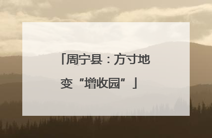 周宁县：方寸地变“增收园”