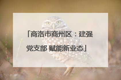 商洛市商州区：建强党支部 赋能新业态