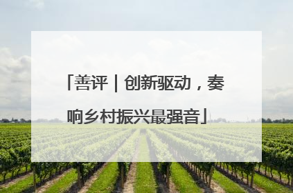 善评｜创新驱动，奏响乡村振兴最强音
