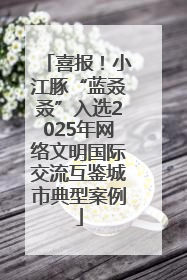 喜报！小江豚“蓝叒叒”入选2025年网络文明国际交流互鉴城市典型案例