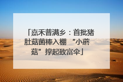 嘉禾普满乡：首批猪肚菇菌棒入棚 “小蘑菇”撑起致富伞