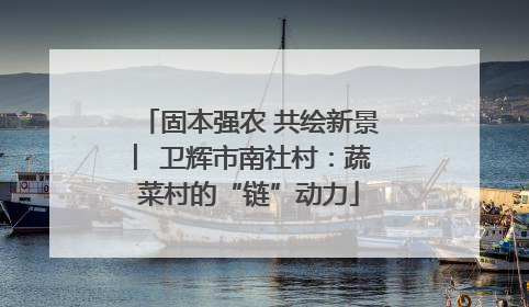 固本强农 共绘新景 ︳卫辉市南社村：蔬菜村的“链”动力