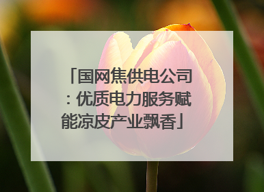 国网焦供电公司：优质电力服务赋能凉皮产业飘香