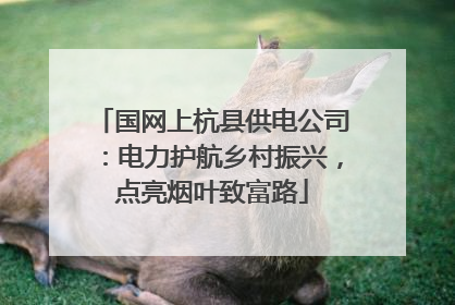 国网上杭县供电公司：电力护航乡村振兴，点亮烟叶致富路