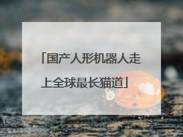 国产人形机器人走上全球最长猫道