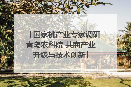 国家桃产业专家调研青岛农科院 共商产业升级与技术创新