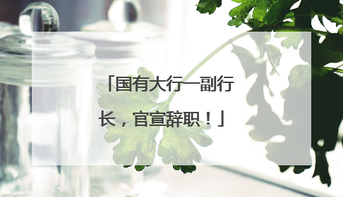 国有大行一副行长，官宣辞职！