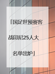 国足世预赛客战印尼25人大名单出炉