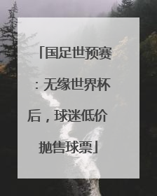 国足世预赛：无缘世界杯后，球迷低价抛售球票
