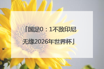 国足0：1不敌印尼 无缘2026年世界杯