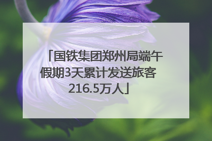 国铁集团郑州局端午假期3天累计发送旅客216.5万人