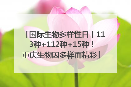 国际生物多样性日丨113种+112种+15种！重庆生物因多样而精彩