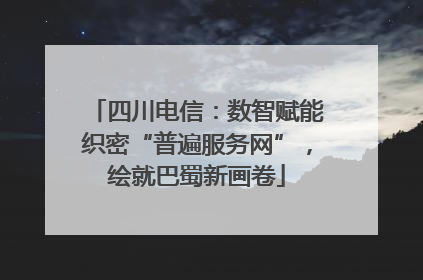 四川电信：数智赋能织密“普遍服务网”，绘就巴蜀新画卷