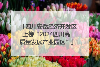四川安岳经济开发区上榜“2024四川高质量发展产业园区”