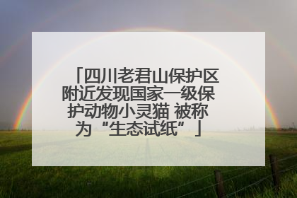四川老君山保护区附近发现国家一级保护动物小灵猫 被称为“生态试纸”